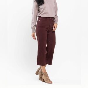 Judy Blue Tummy Control Oxblood